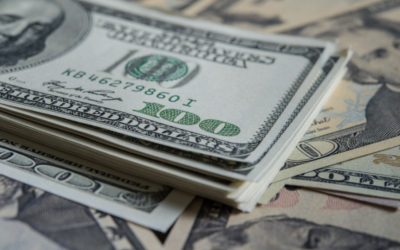 Municipal Bonds in a Portfolio: Asset Allocation, Diversification, and Key Risks